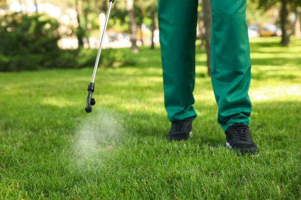 Best Pest Control Near Me  in Highpoint, OH