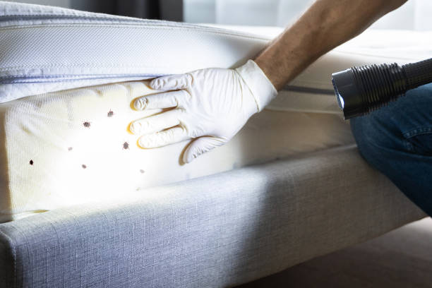 Best Pest Prevention Services  in Highpoint, OH