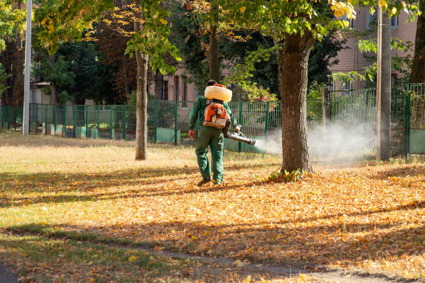 Best Wildlife Control Services  in Highpoint, OH