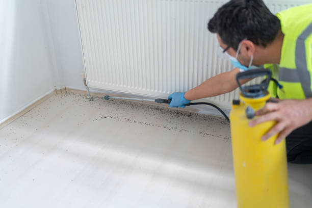Best Bed Bug Extermination  in Highpoint, OH